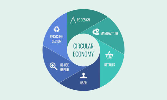 THE CIRCULAR ECONOMY