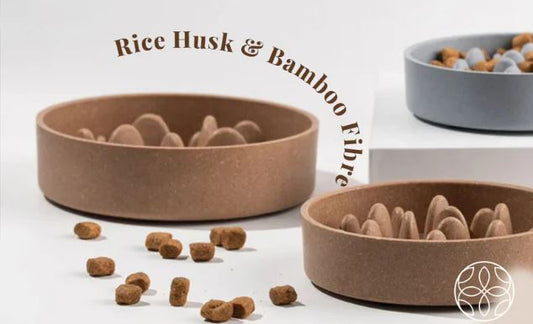 The Science Behind Slow Feeder Bowls: How Rice Husk Materials Improve Digestion in Pets