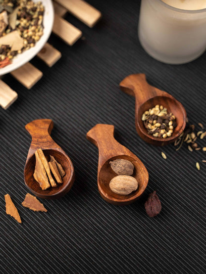 Small Wooden Spice Spoon Set of 6